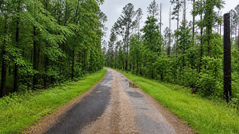 16 Acres in Copiah County, MS