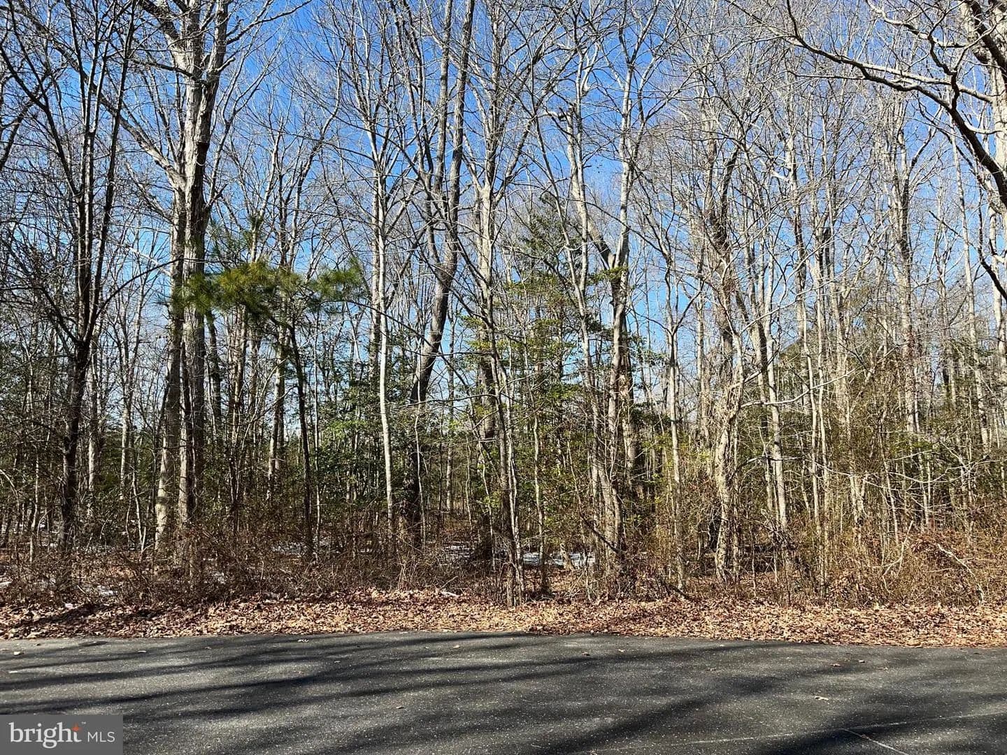 Vacant Land in Selbyville - Selbyville, Delaware, 19975