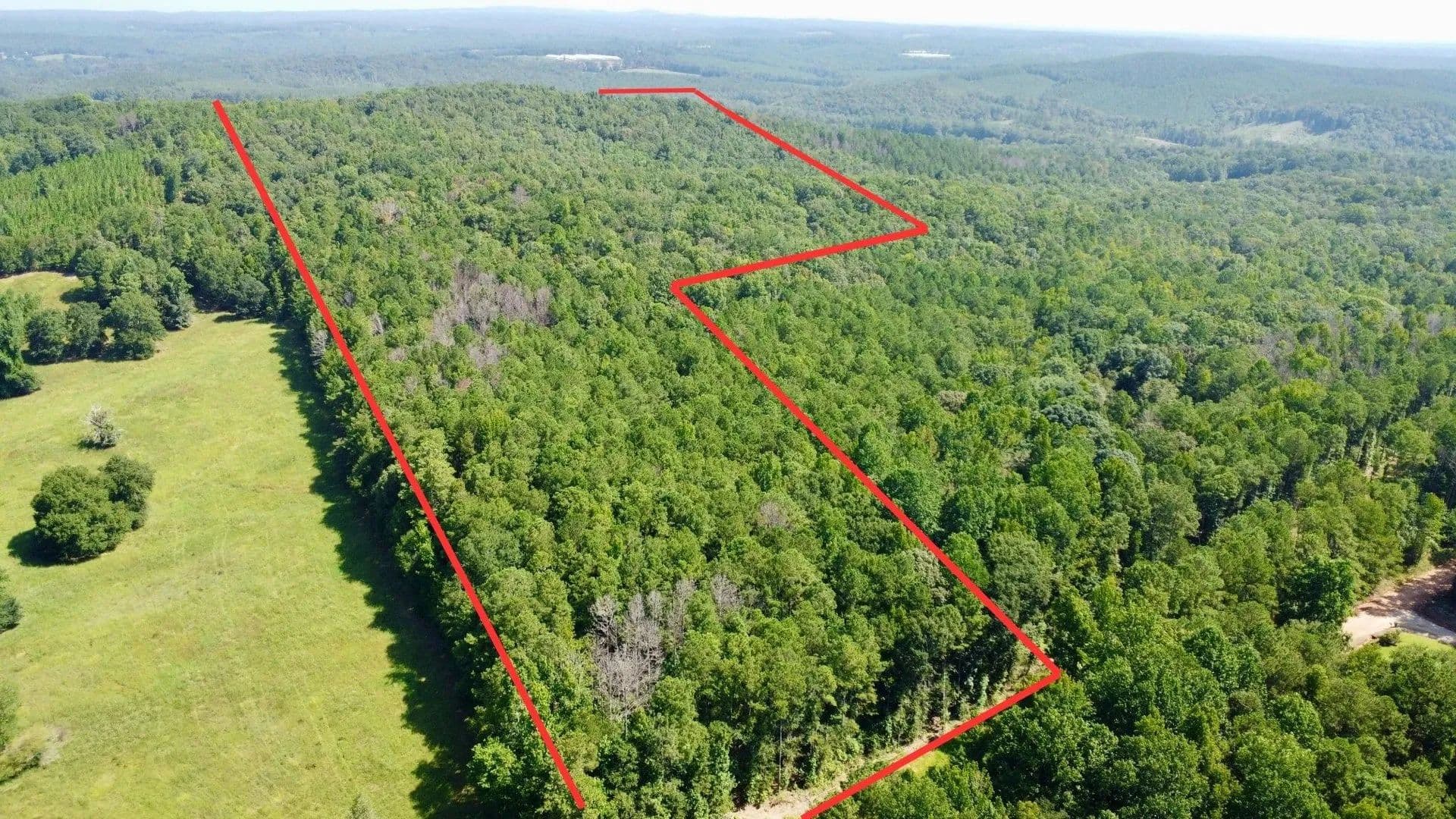 46 +/- Acres in Randolph County, AL - Wedowee, Alabama, 36278