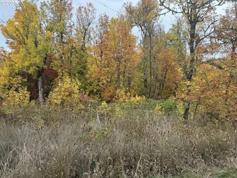 Property from 2191 Lorane HWY - KW