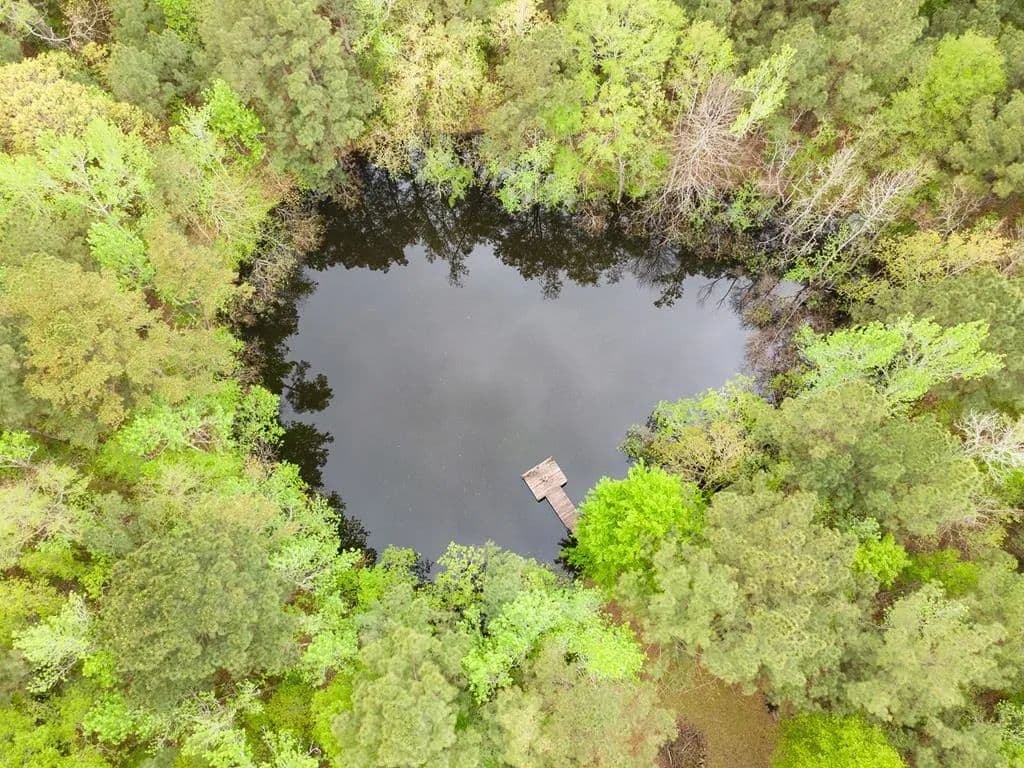 Lots & Land-Other in Pineland - Pineland, Texas, 75968