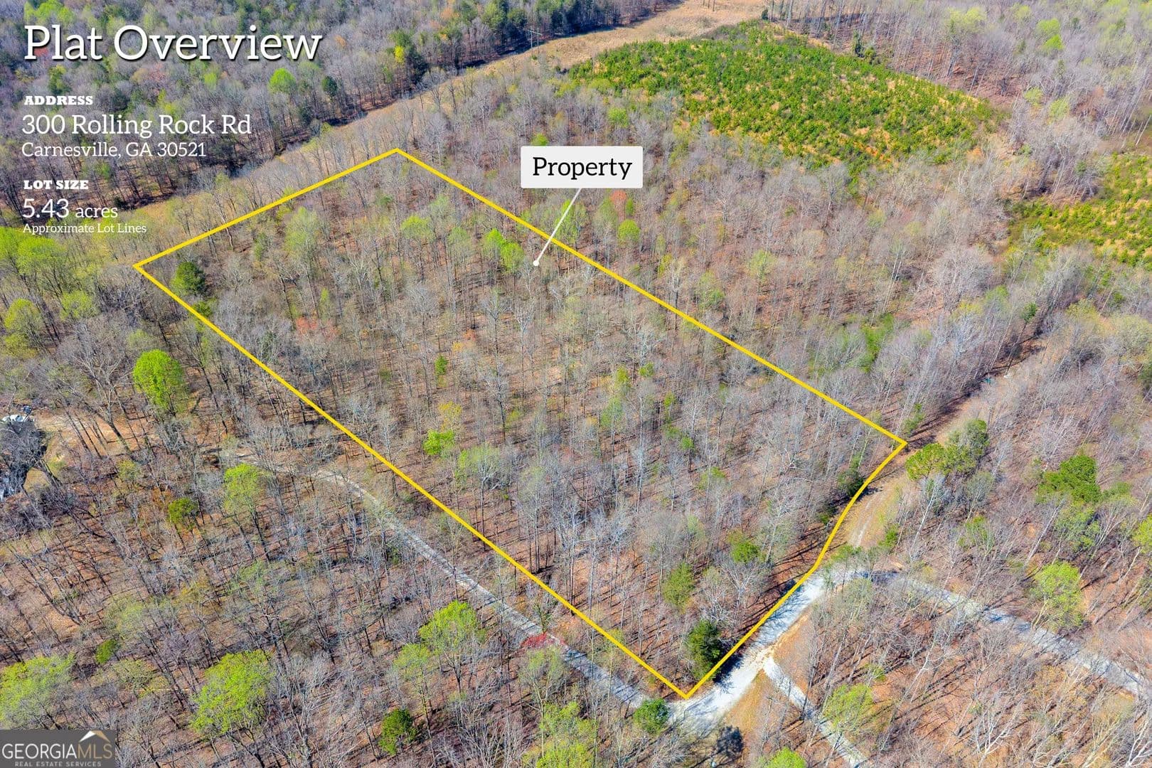 5.43 Acres of Land for Sale in Carnesville, Georgia - Carnesville, Georgia, 30521