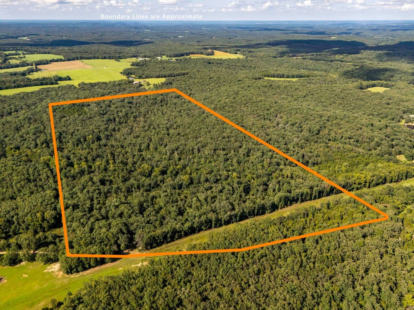 85±-Acre Woodland Retreat with Creek, Trails, & Build Potential – Gasconade County - Hermann, Missouri, 65041
