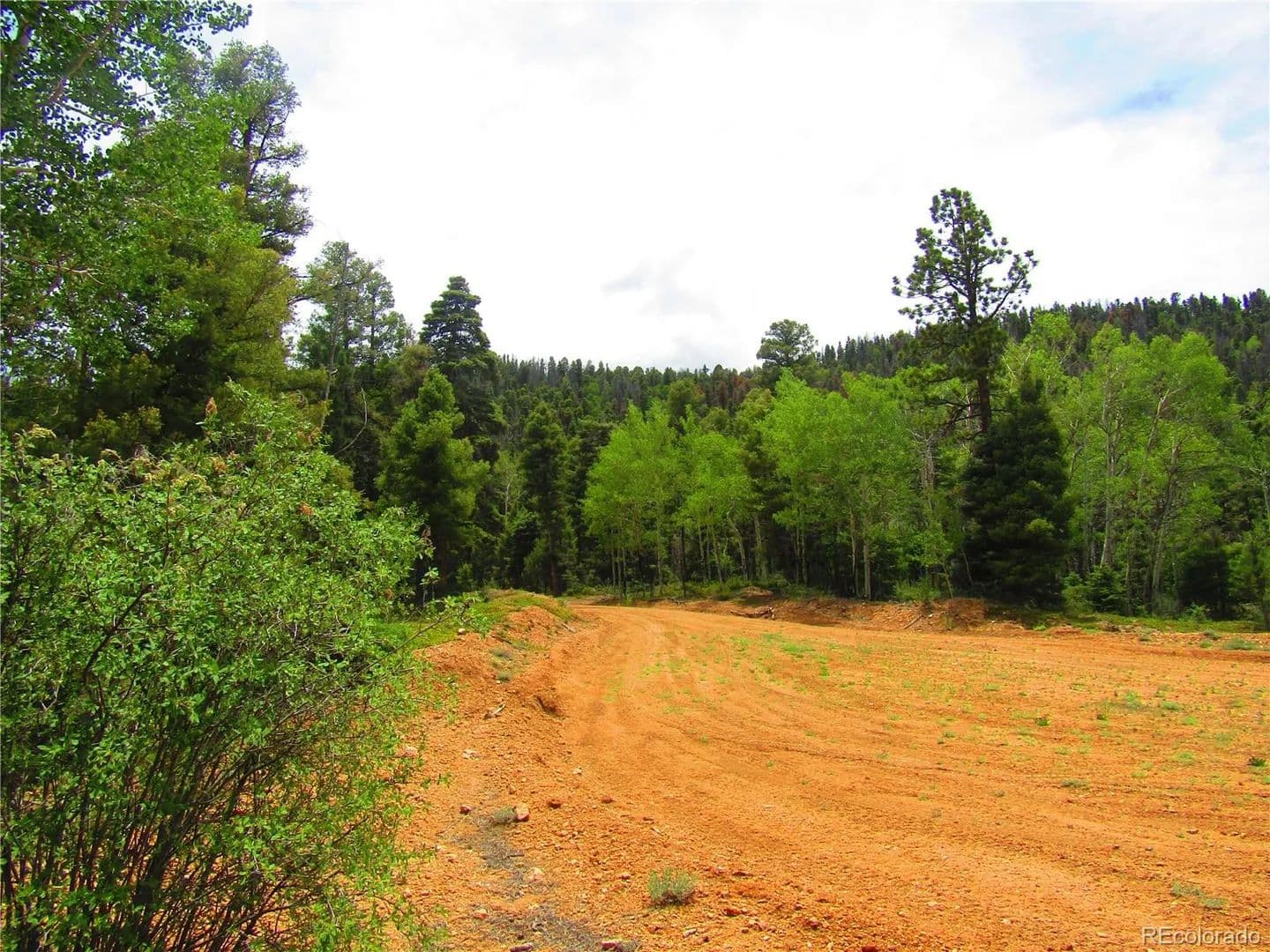 Property from Lot 6028 Spruce Roads - KW - San Luis, Colorado, 81152