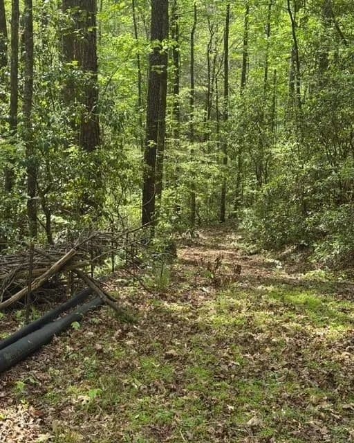 Vacant Land in Ellijay - Ellijay, Georgia, 30540