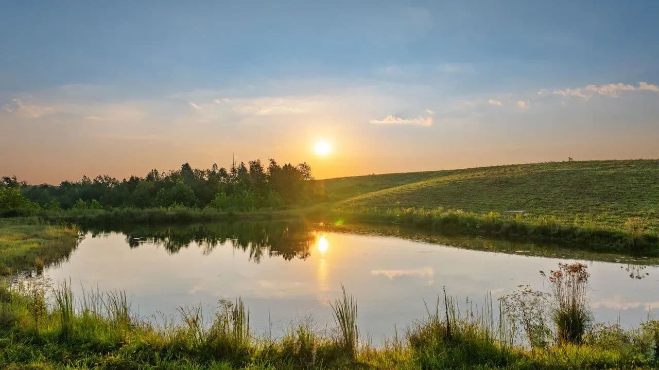 Sprawling 93 Acre Middle TN Farm - Nunnelly, Tennessee, 37137