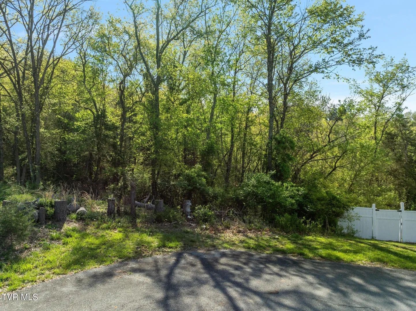 Vacant Land in Bristol - Bristol, Tennessee, 37620
