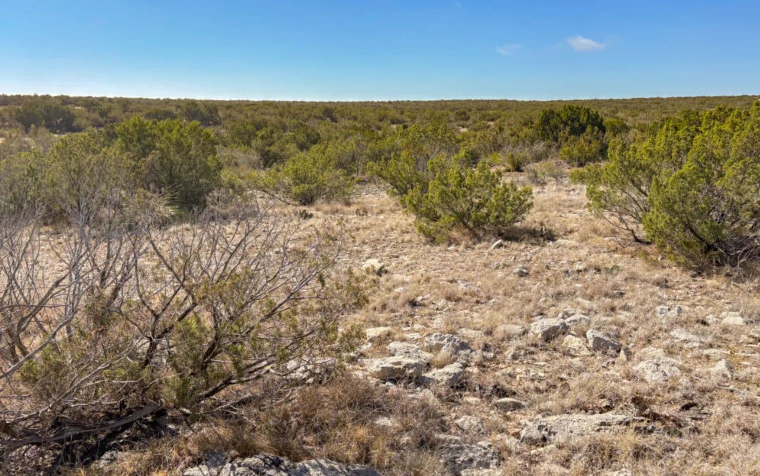  44+/- Acre Ranch for Sale in Val Verde County, TX - Juno, Texas, 78840