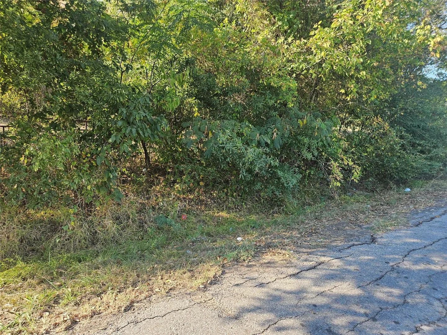 Vacant Land in Paris - Paris, Texas, 75460
