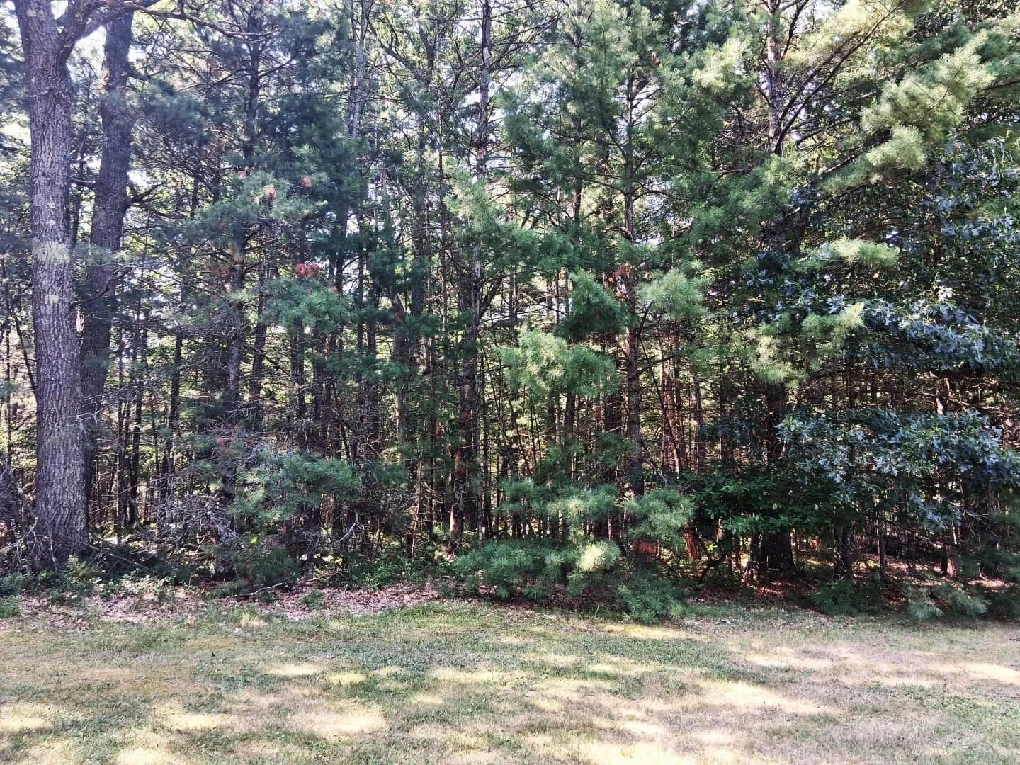 Vacant Land in Prudenville - Prudenville, Michigan, 48651