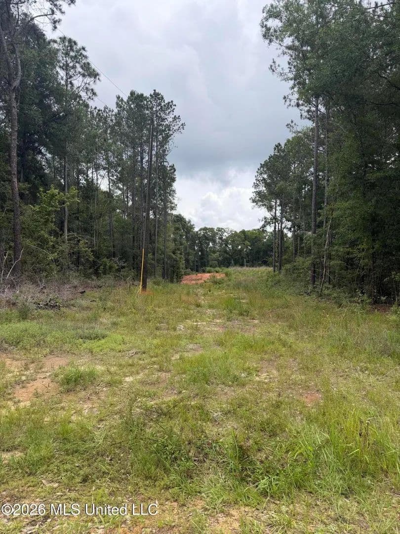 Lots & Land-Other in Lucedale - land for sale