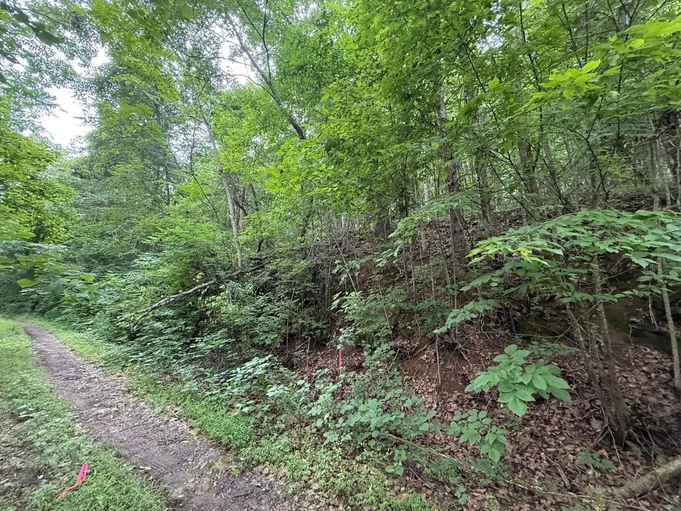 2.34 Acres of Land for Sale in Baneberry, TN - Baneberry, Tennessee, 37890