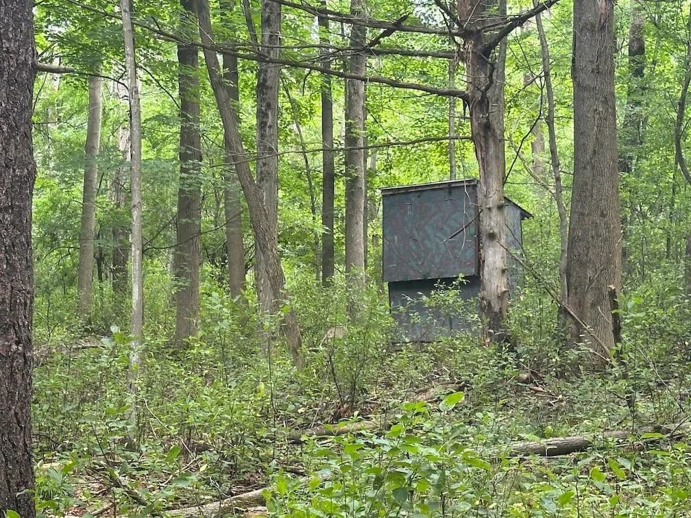 5 acres Hunting Land and Recreational Land with Owner Financing near State Land in Granger NY Flat Iron Road Lot 5 - Hunt, New York, 14846
