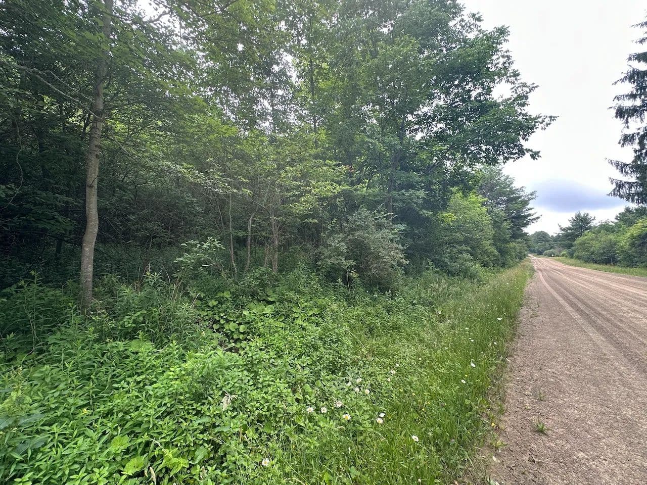 5 acres Hunting Land and Recreational Land with Owner Financing near State Land in Granger NY Flat Iron Road Lot 5 - Hunt, New York, 14846