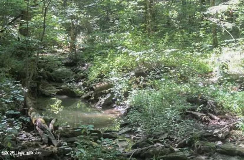 Vacant Land in Bagdad