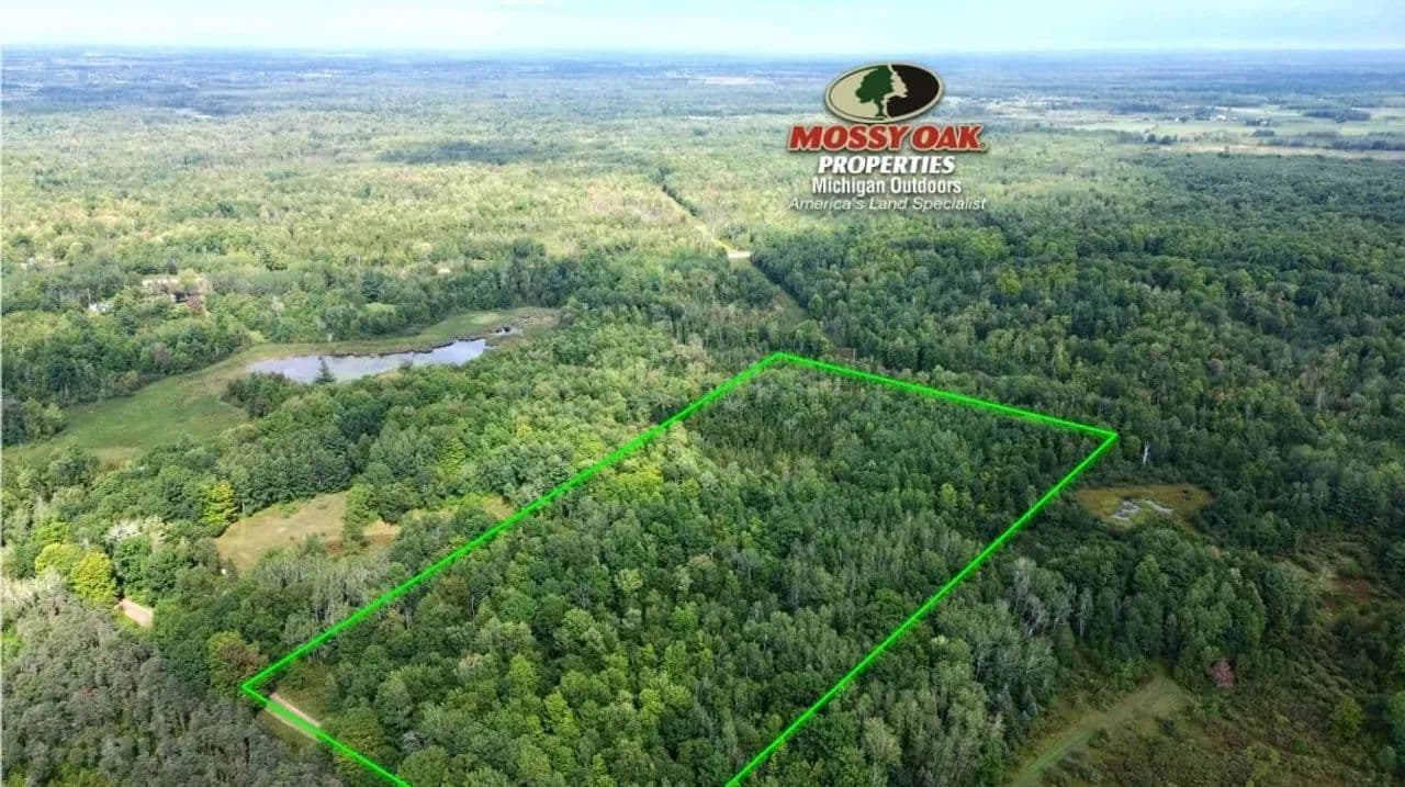 20 +/- Acres / Osceola County, MI / Investment Opportunity / Recreational Land For Sale - Marion, Michigan, 49665