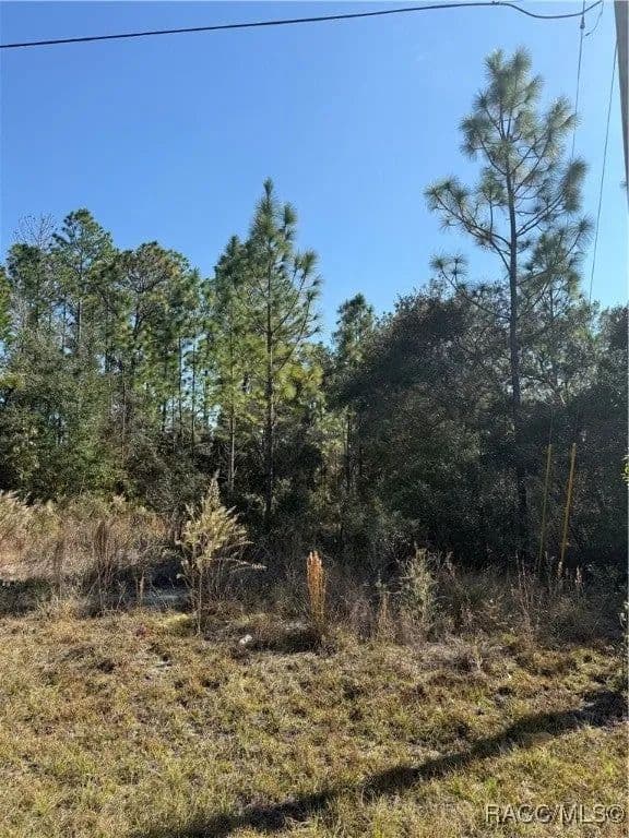 Lots & Land-Other in Citrus Springs - land for sale