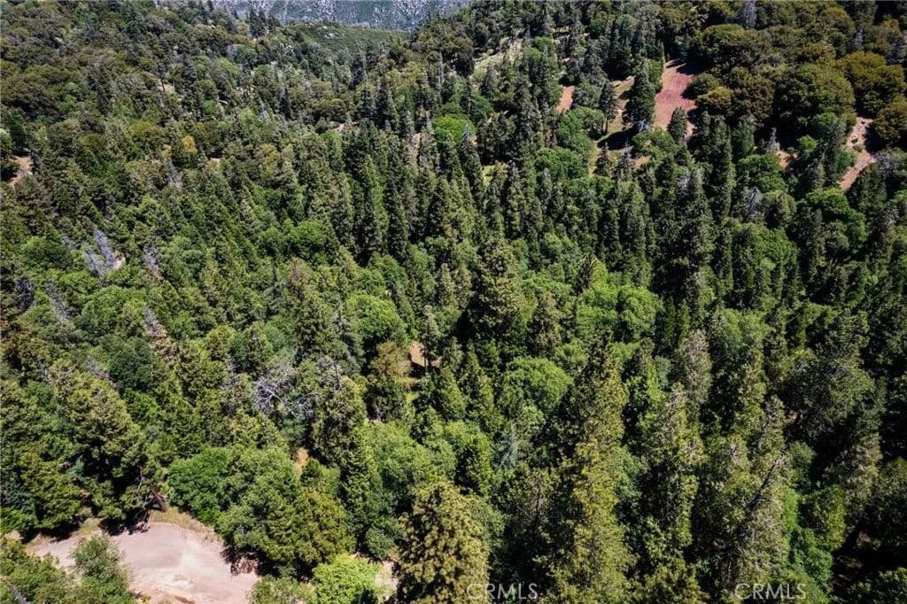 Vacant Land in Cedarpines Park - Cedarpines Park, California, 92322
