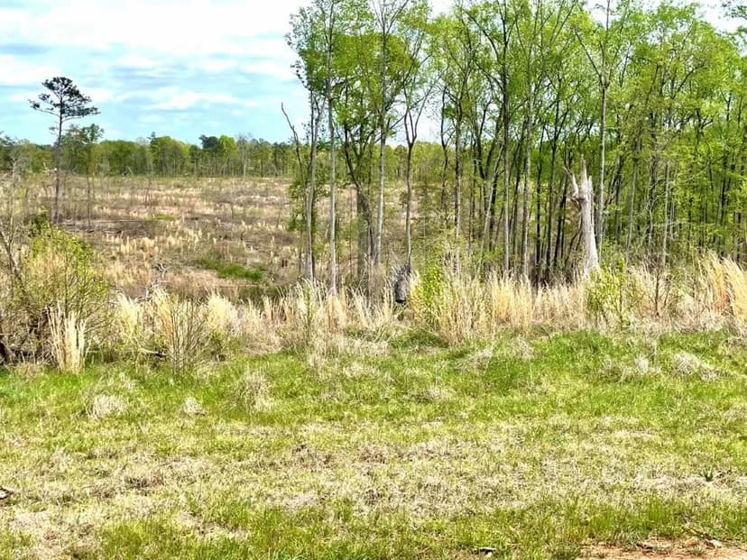 Jasper Co. Hunting Tract