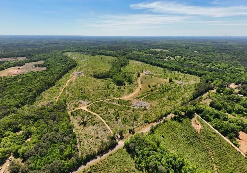Jasper Co. Hunting Tract