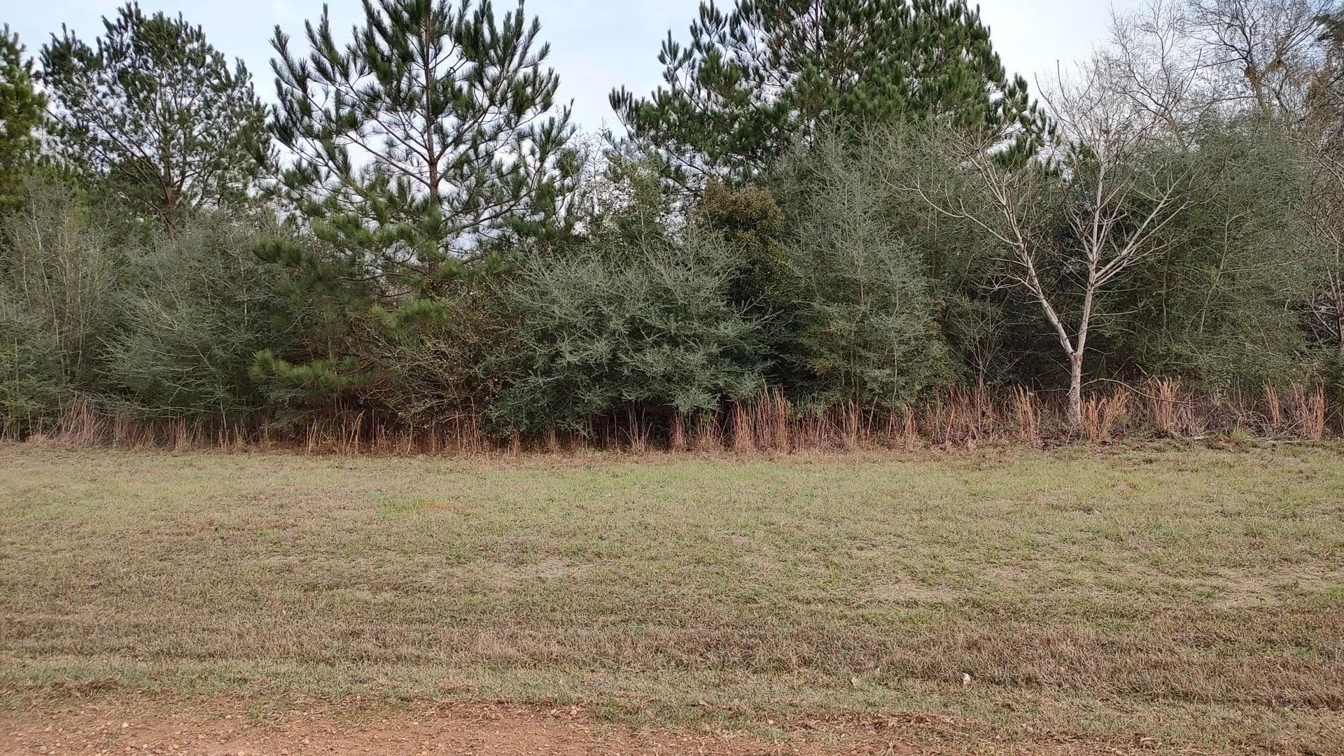 Property from NHN N Resort Dr. - KW - Lumberton, Mississippi, 39455