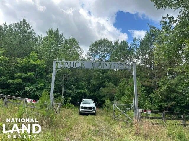 Buck Canyon - Winfield, Alabama, 35594