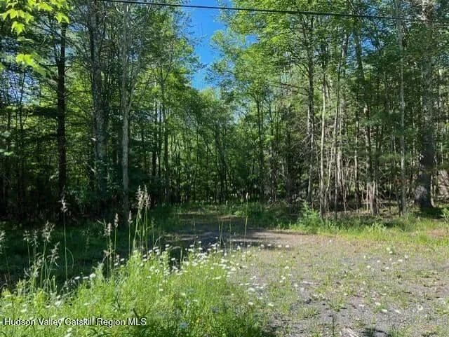 8 Acres of Land for Sale in Prattsville, New York - Prattsville, New York, 12468