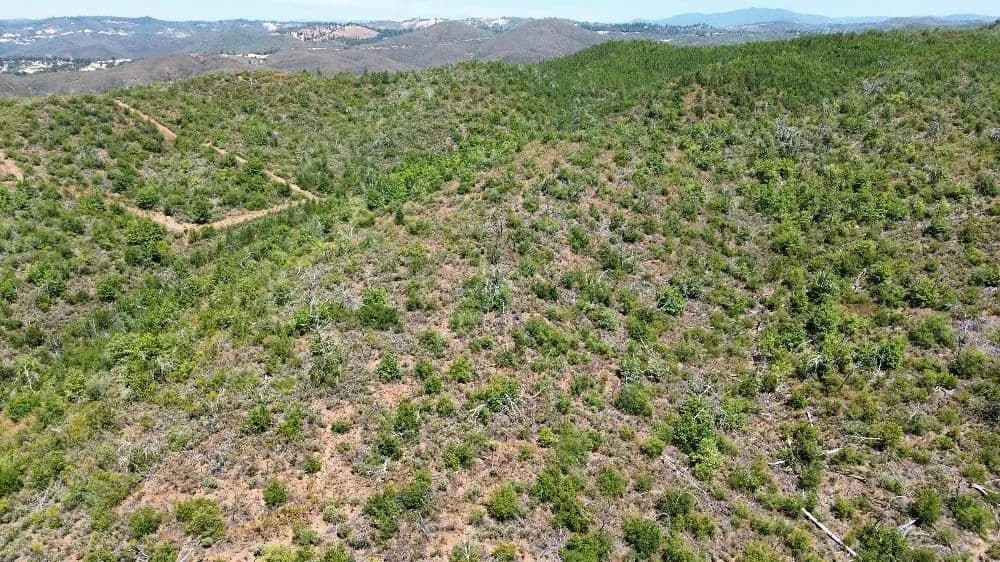 Lots & Land-Other in Mountain Ranch - Mountain Ranch, California, 95246