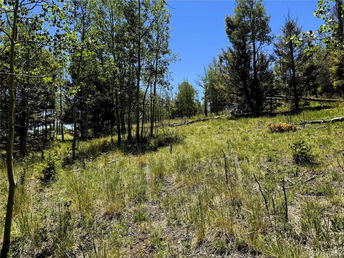 2.75 Acres of Land for Sale in Hartsel, CO - Hartsel, Colorado, 80449