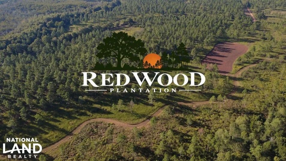 Red Wood Quail Plantation - Bronwood, Georgia, 39826
