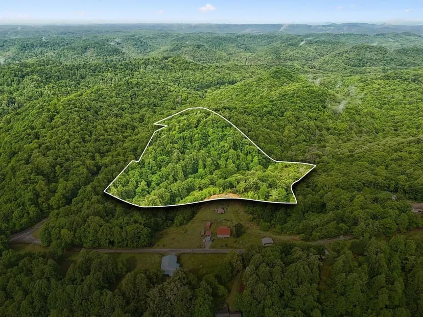 15.01 Acres with Creek, Spring & Hunting Habitat in Woodbury, TN