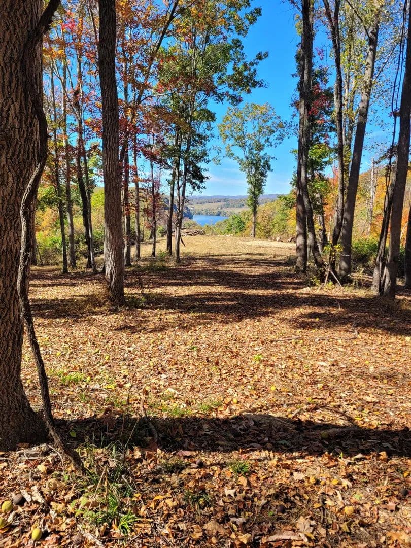 Land -Agricultural (Not Zoned) in Hiwassee
