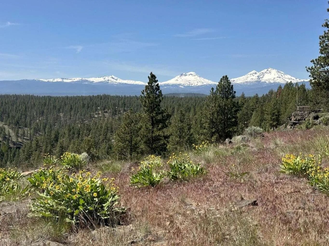 Vacant Land in Sisters - land for sale
