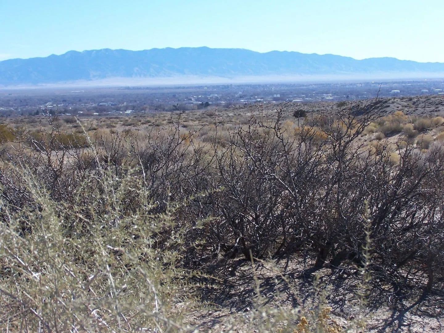 Land -Single Family Acreage in Belen - Belen, New Mexico, 87002