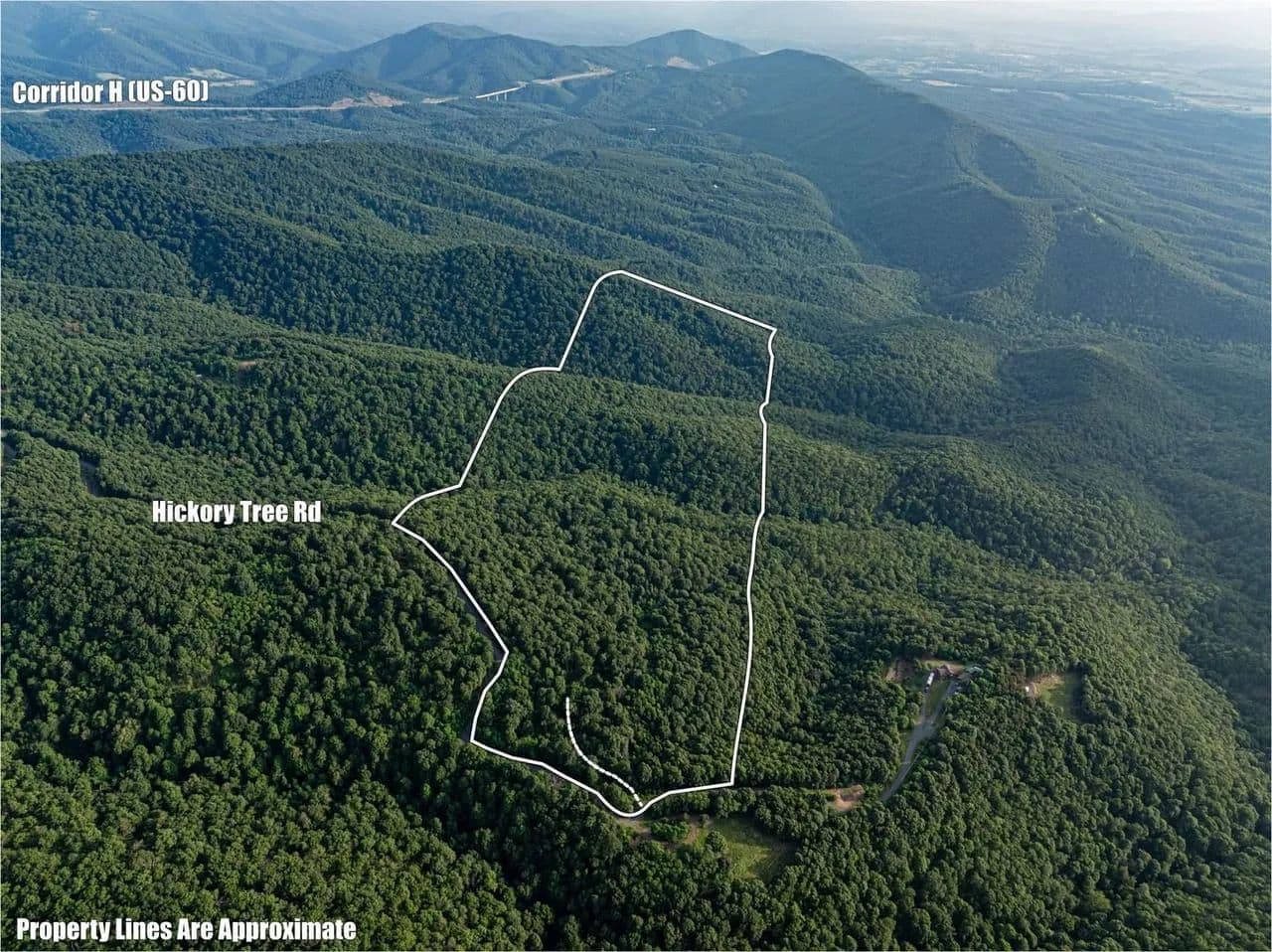 Hickory Tree Rd - 92 acres - Moorefield, West Virginia, 26836