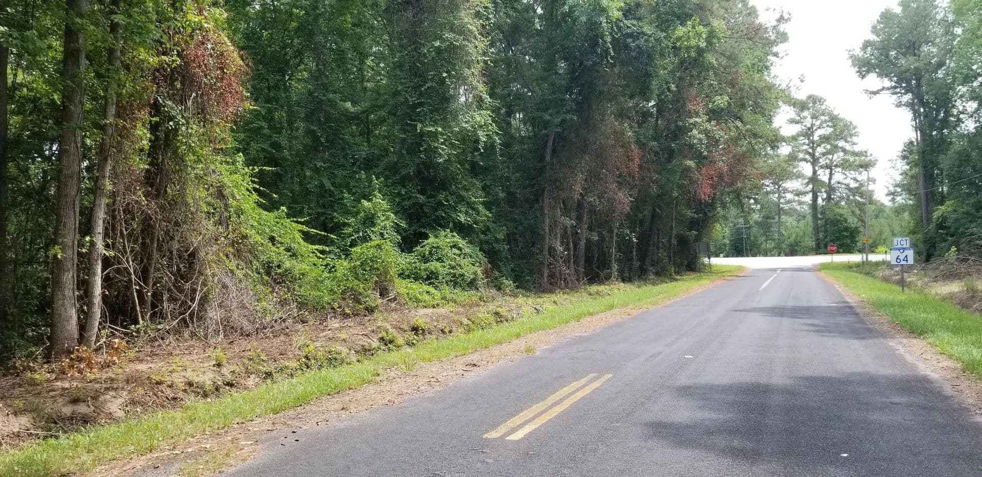 Lots & Land-Other in Walterboro - Walterboro, South Carolina, 29488