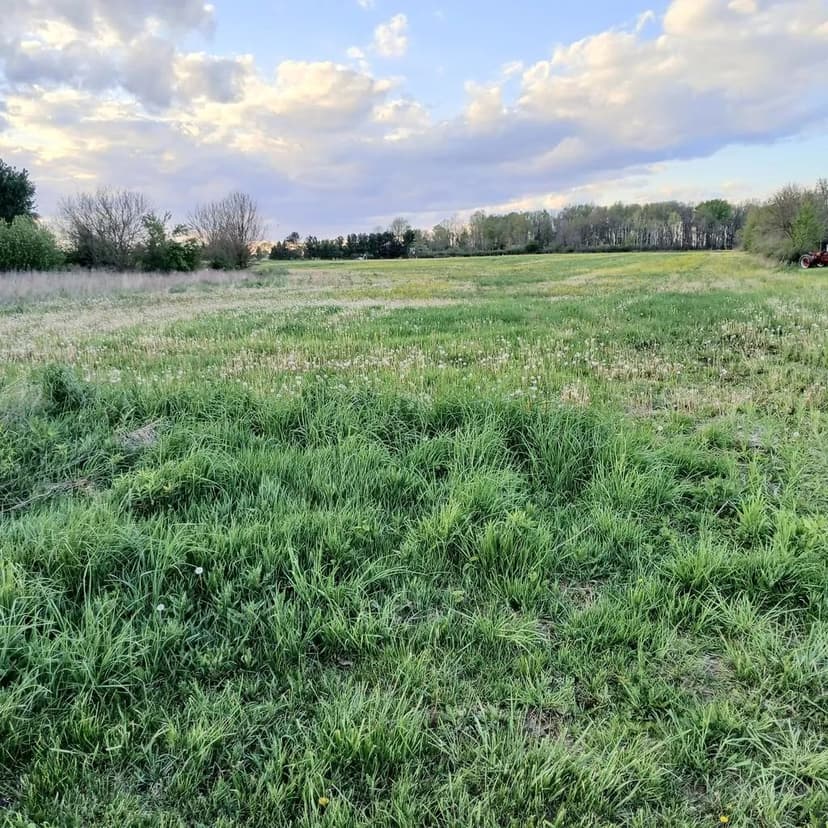 Lots & Land-Other in Greenwich