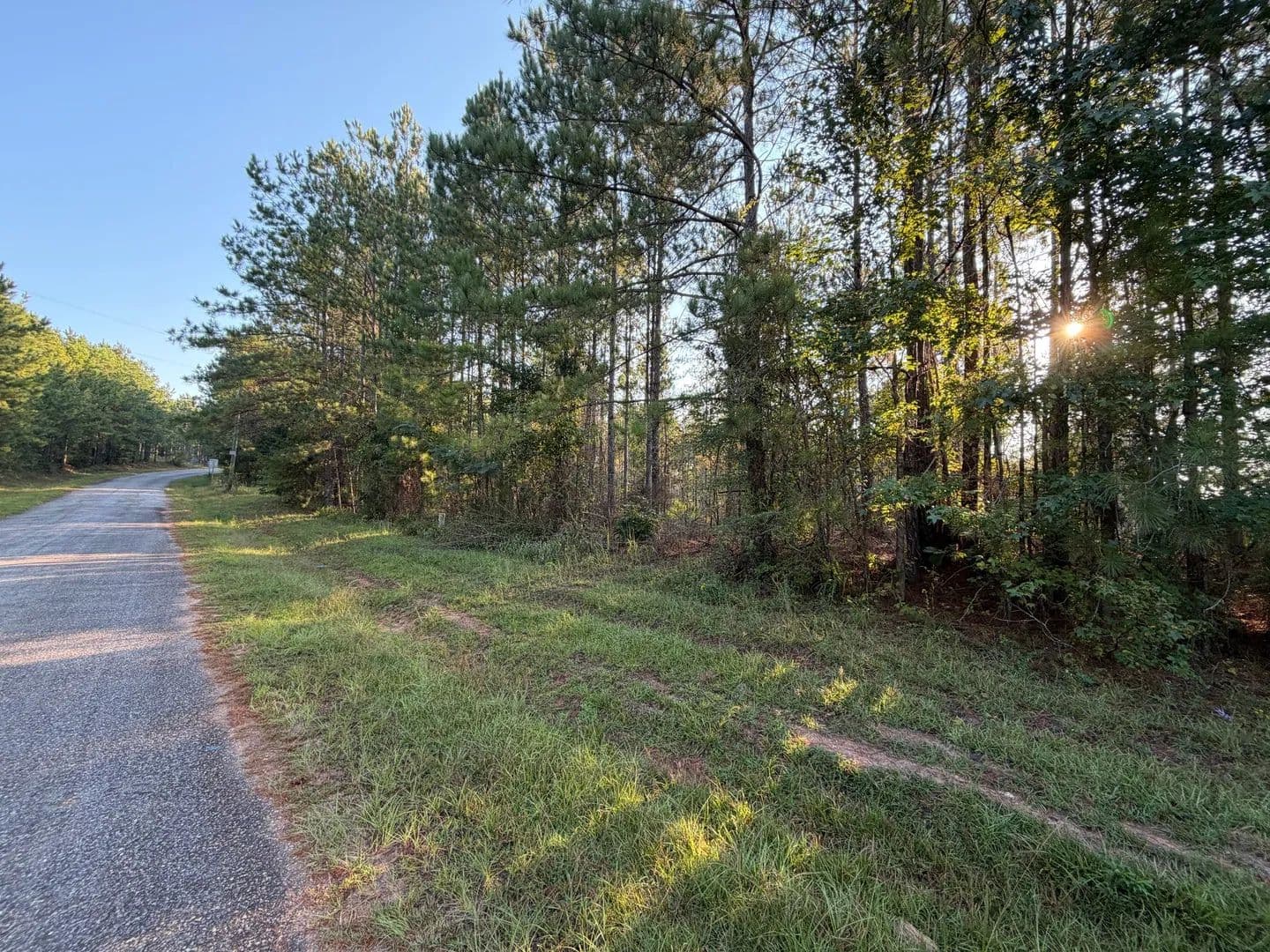 24+/- Acres Pleasant Rd-Tallapoosa County-Minutes to Saugahatchee Creek - Camp Hill, Alabama, 36853