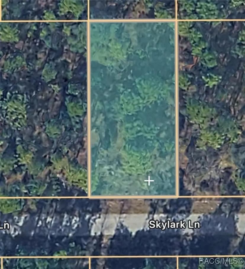 0000 Skylark Unit #065 Lane