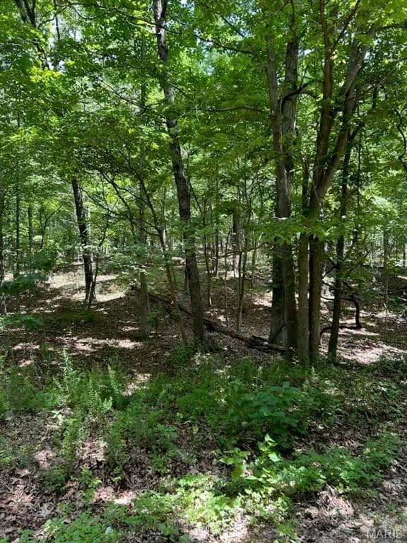 Property from 0 Hargrove Road - KW - St Robert, Missouri, 65584