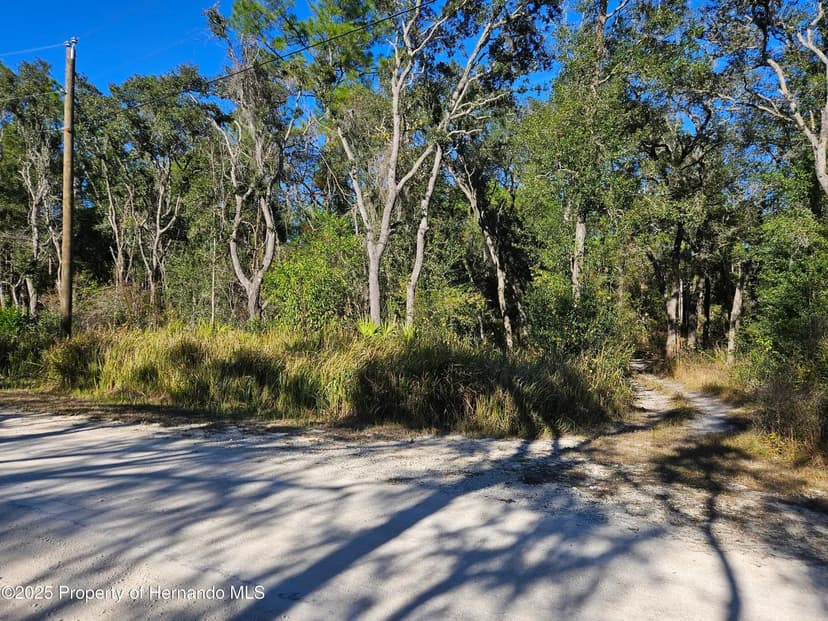 Property from 0 Berryhill Drive - KW