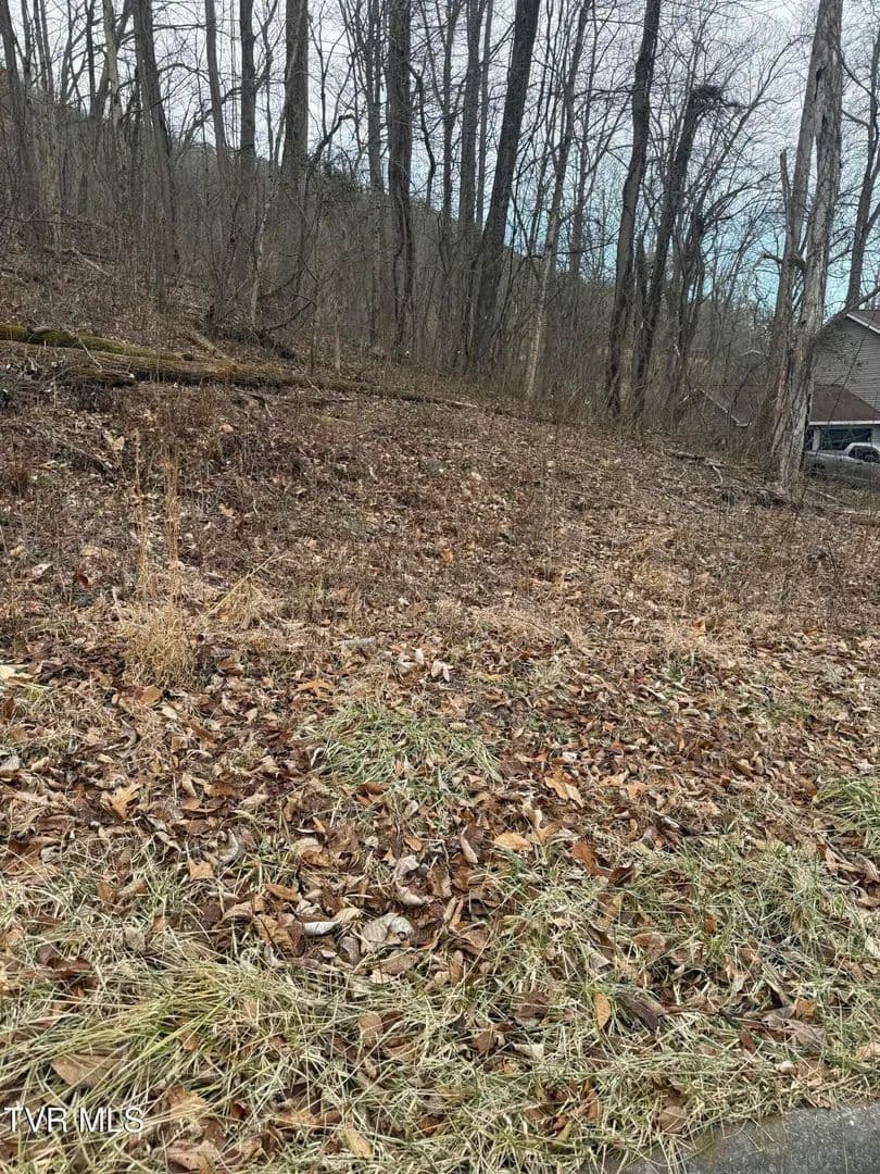 Vacant Land in Kingsport - Kingsport, Tennessee, 37660