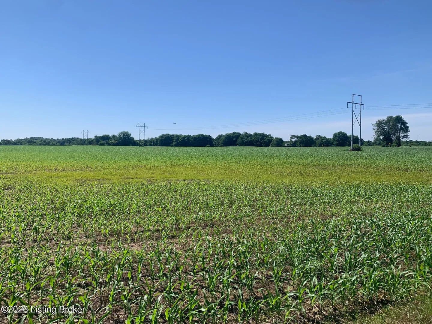 Property from 0 S American Dr - KW - Bardstown, Kentucky, 40004