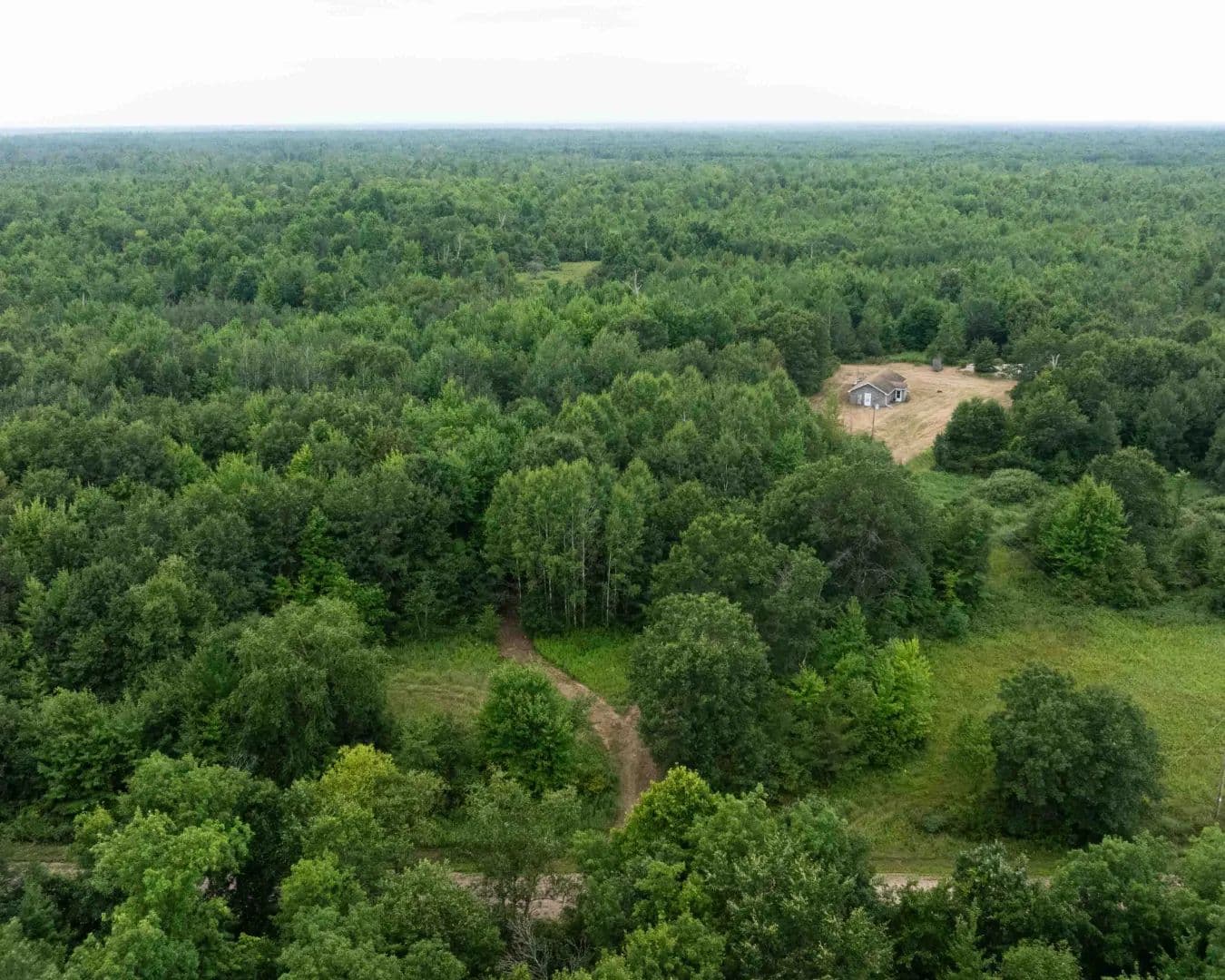 Juneau County WI 80 Acre Camp For Sale - Necedah, Wisconsin, 54646