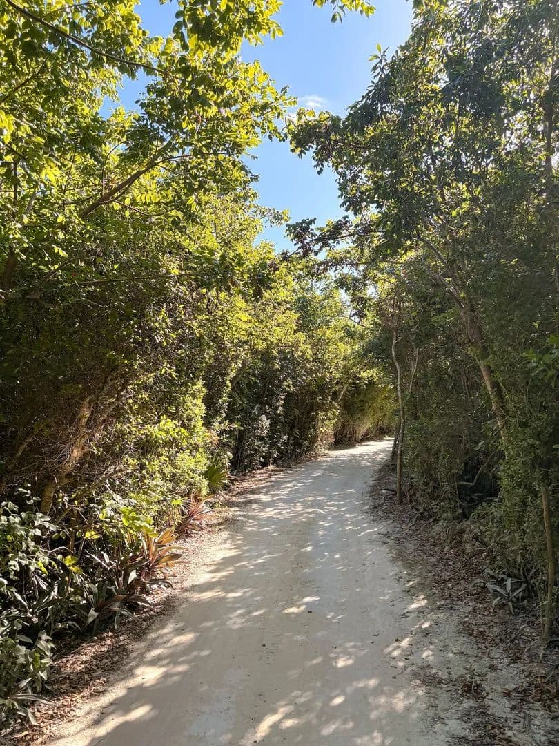 Vacant Land in Man-O-War Cay, Abaco - land for sale