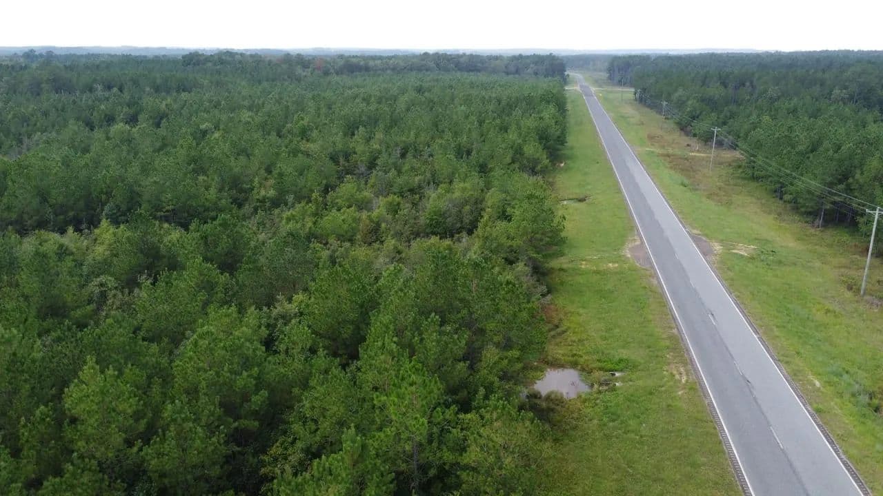 52.5 Acres Hwy 44 - Columbia, Mississippi, 39429
