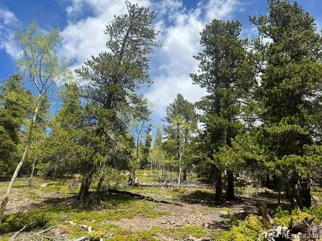 Property from 001 Sunny Skies Trail - KW - Idaho Springs, Colorado, 80452