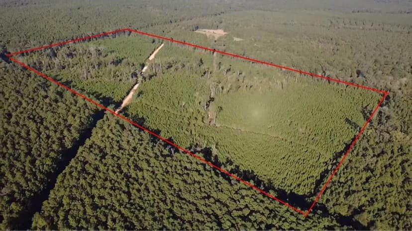 Lots & Land-Other in Winnfield