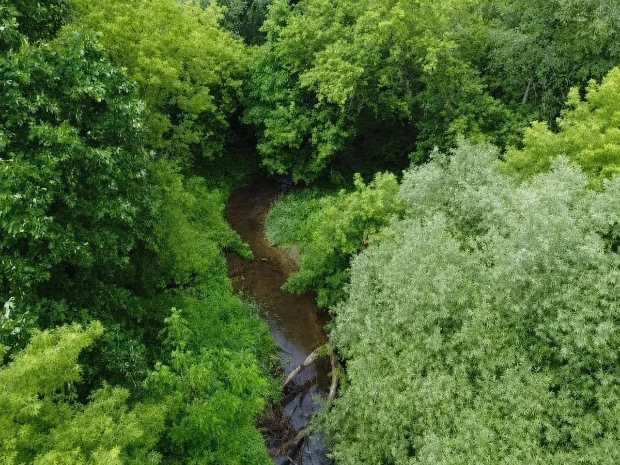 7.57 Acres of Land for Sale in Almont, Michigan - Almont, Michigan, 48003