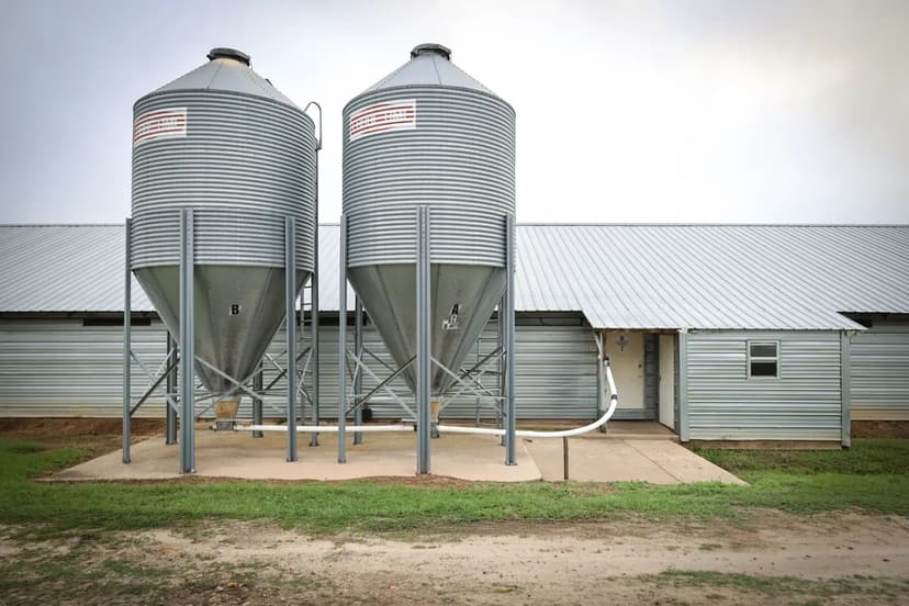39.1 Acre Poultry & Cattle Farm Bienville Parish, LA $1,270,000